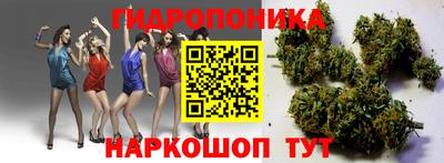 тгк Партизанск