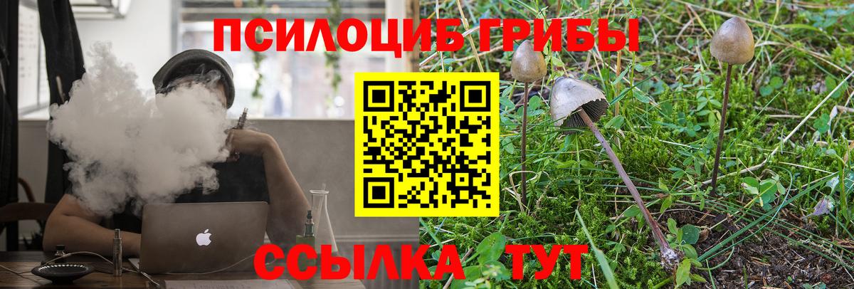 Стрежевой  Псилоцибиновые грибы мухоморы  Вход с VPN 