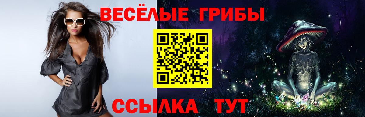 Галлюциногенные грибы Psilocybe Стрежевой
